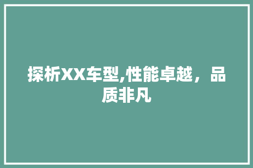 探析XX车型,性能卓越，品质非凡