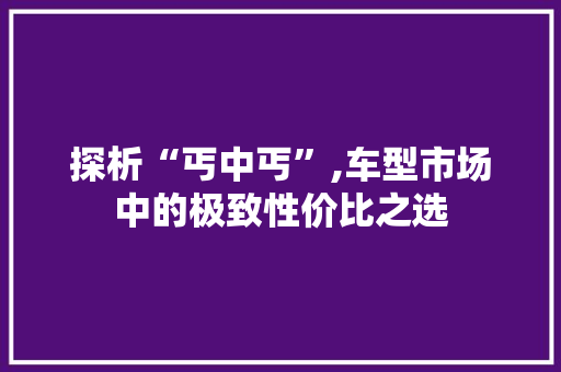 探析“丐中丐”,车型市场中的极致性价比之选