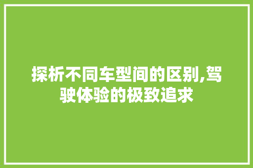探析不同车型间的区别,驾驶体验的极致追求