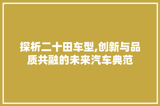 探析二十田车型,创新与品质共融的未来汽车典范