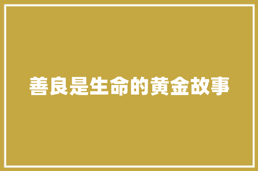 探析代谢车型号,未来汽车行业的绿色先锋