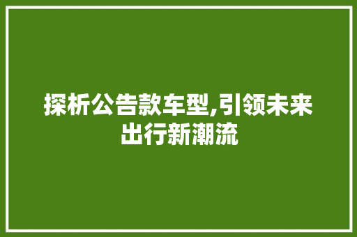 探析公告款车型,引领未来出行新潮流