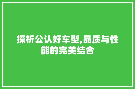 探析公认好车型,品质与性能的完美结合