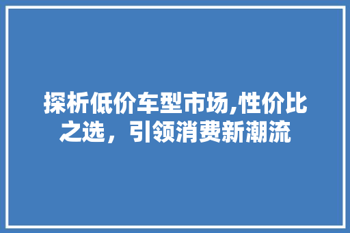 探析低价车型市场,性价比之选，引领消费新潮流