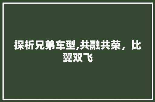 探析兄弟车型,共融共荣，比翼双飞