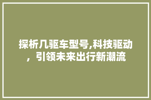 探析几驱车型号,科技驱动，引领未来出行新潮流
