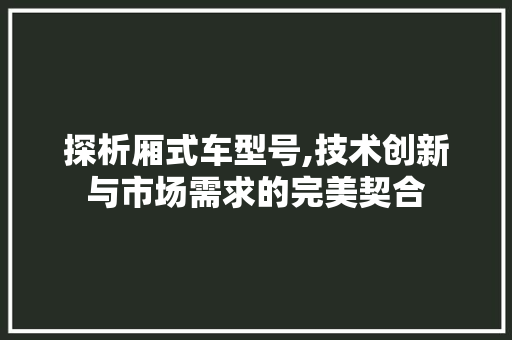 探析厢式车型号,技术创新与市场需求的完美契合