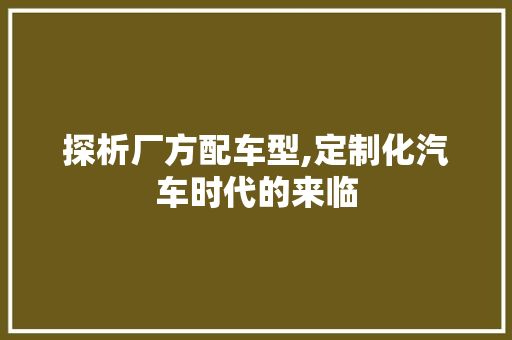 探析厂方配车型,定制化汽车时代的来临