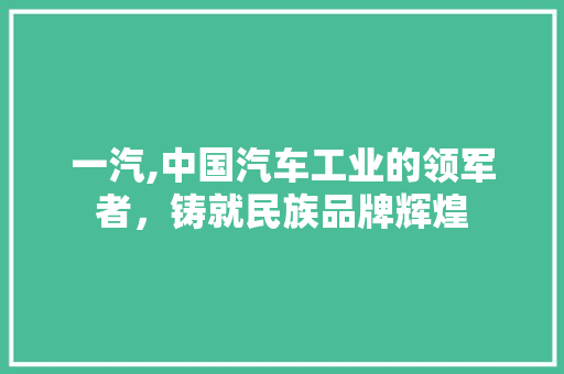 一汽,中国汽车工业的领军者，铸就民族品牌辉煌 车身配件