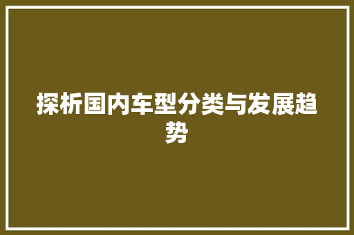 探析国内车型分类与发展趋势
