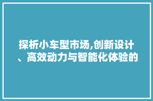 探析小车型市场,创新设计、高效动力与智能化体验的完美融合