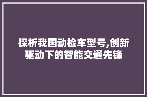 探析我国动检车型号,创新驱动下的智能交通先锋