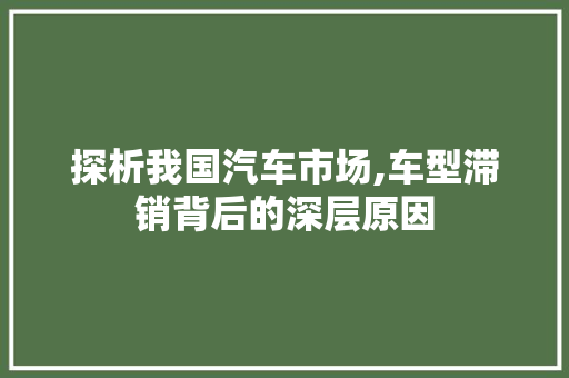 探析我国汽车市场,车型滞销背后的深层原因