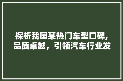 探析我国某热门车型口碑,品质卓越，引领汽车行业发展新潮流