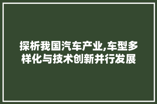 探析我国汽车产业,车型多样化与技术创新并行发展