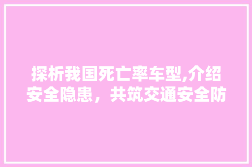 探析我国死亡率车型,介绍安全隐患，共筑交通安全防线