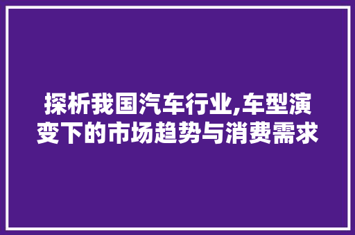 探析我国汽车行业,车型演变下的市场趋势与消费需求
