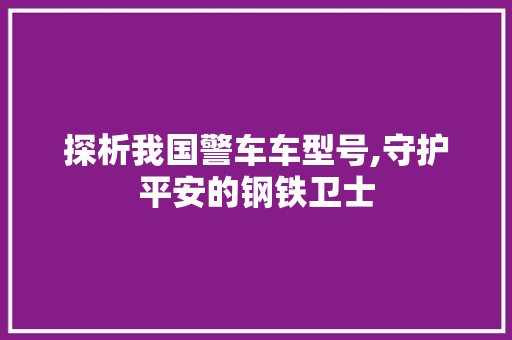探析我国警车车型号,守护平安的钢铁卫士 车身配件