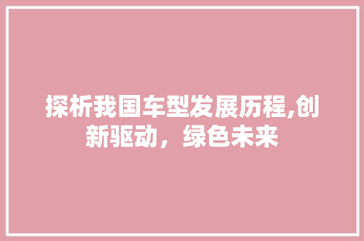 探析我国车型发展历程,创新驱动，绿色未来