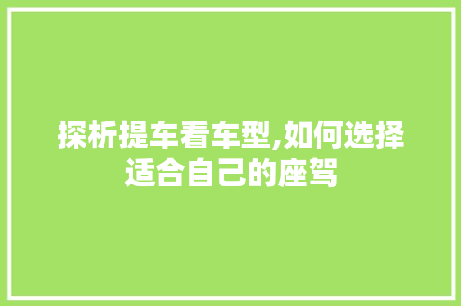 探析提车看车型,如何选择适合自己的座驾
