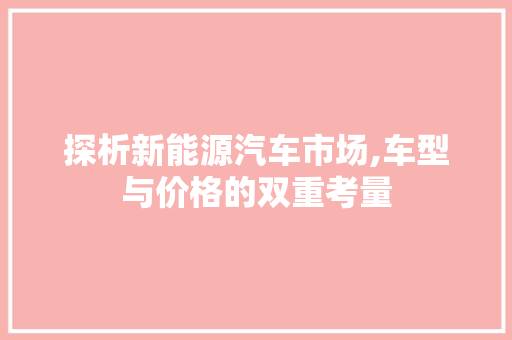 探析新能源汽车市场,车型与价格的双重考量