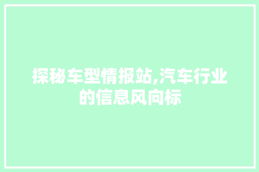 探秘车型情报站,汽车行业的信息风向标