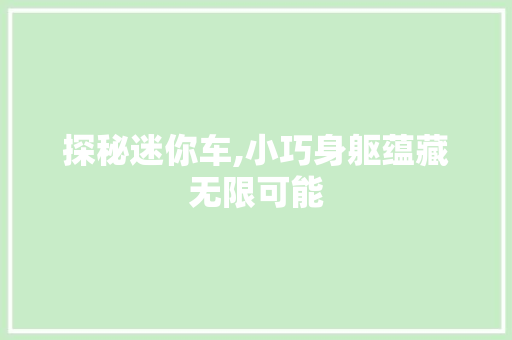 探秘迷你车,小巧身躯蕴藏无限可能