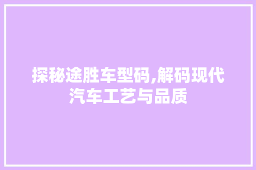 探秘途胜车型码,解码现代汽车工艺与品质