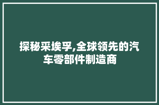 探秘采埃孚,全球领先的汽车零部件制造商
