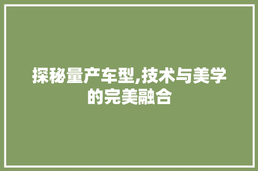 探秘量产车型,技术与美学的完美融合