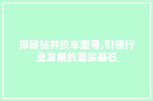 探秘钻井绞车型号,引领行业发展的坚实基石