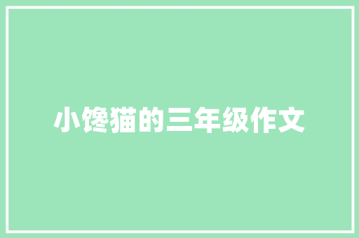 五灵侠,新能源汽车市场的“黑马”，引领绿色出行新潮流