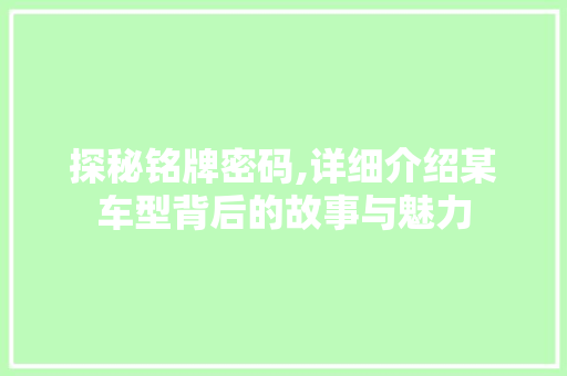 探秘铭牌密码,详细介绍某车型背后的故事与魅力