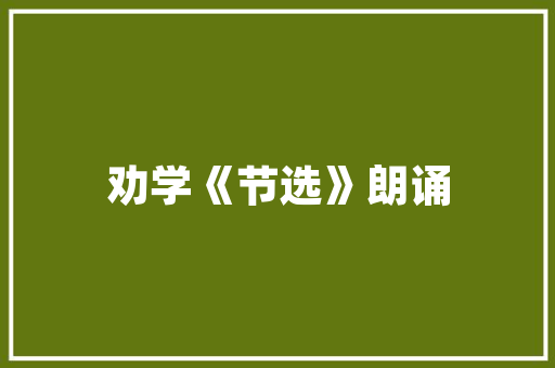 五级车型库,解读汽车市场新趋势
