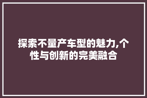 探索不量产车型的魅力,个性与创新的完美融合