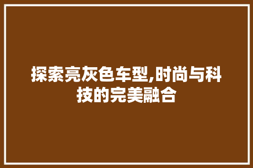 探索亮灰色车型,时尚与科技的完美融合
