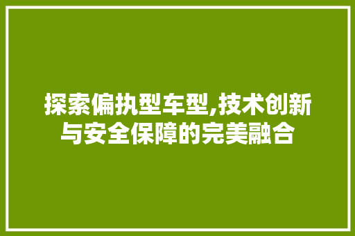 探索偏执型车型,技术创新与安全保障的完美融合