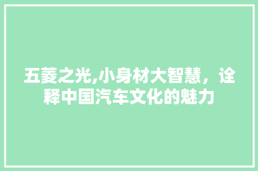 五菱之光,小身材大智慧，诠释中国汽车文化的魅力