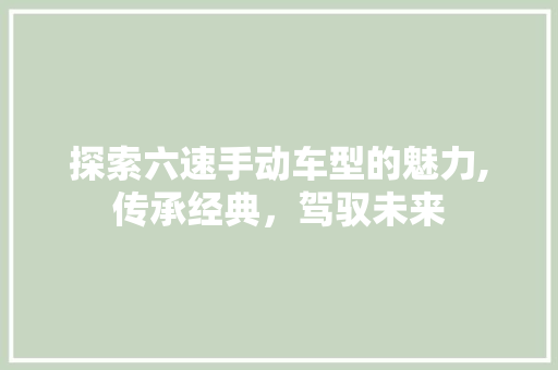 探索六速手动车型的魅力,传承经典，驾驭未来