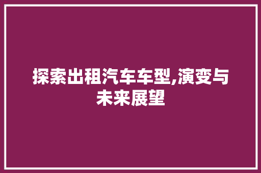 探索出租汽车车型,演变与未来展望