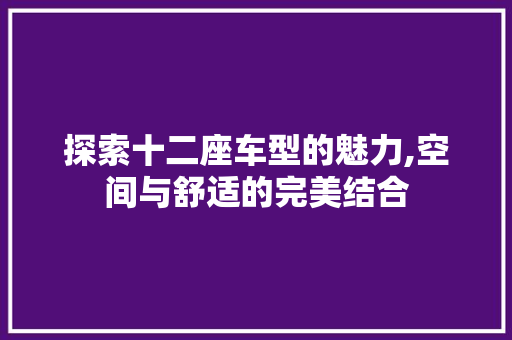 探索十二座车型的魅力,空间与舒适的完美结合