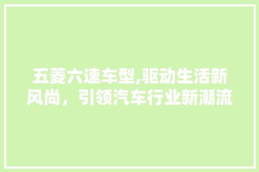 五菱六速车型,驱动生活新风尚，引领汽车行业新潮流