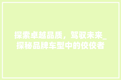 探索卓越品质，驾驭未来_探秘品牌车型中的佼佼者