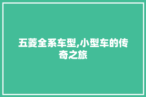 五菱全系车型,小型车的传奇之旅