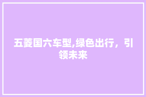 五菱国六车型,绿色出行，引领未来