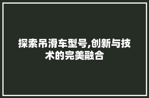 探索吊滑车型号,创新与技术的完美融合