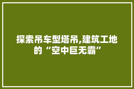探索吊车型塔吊,建筑工地的“空中巨无霸”