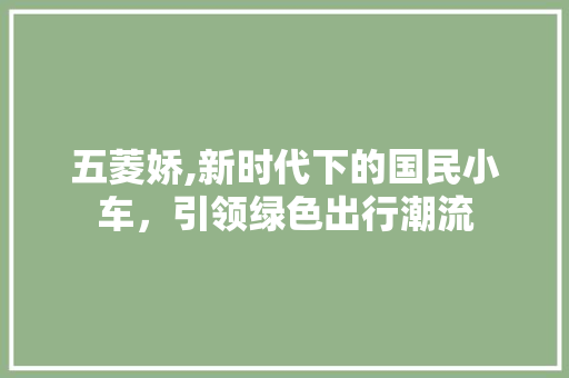 五菱娇,新时代下的国民小车，引领绿色出行潮流