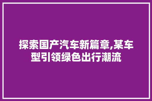 探索国产汽车新篇章,某车型引领绿色出行潮流