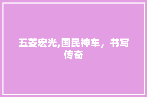 五菱宏光,国民神车，书写传奇